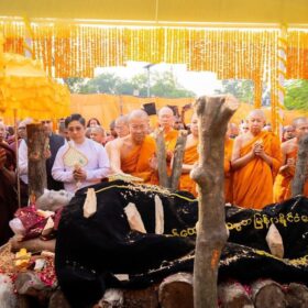 580776505_122144052380856444_2655609501686867056_n