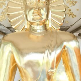 604810383_122209233698310500_3363714756069923879_n