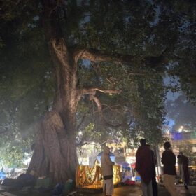 605723410_122209974338310500_1641704504316497431_n