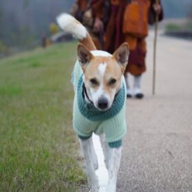 615288064_122212122410310500_8061341923192451216_n