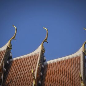 615340081_122211989078310500_4577914316605942246_n