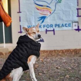 615419399_122212123466310500_8107167939895164333_n