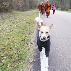 615476144_122212123514310500_604259219616201165_n