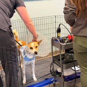 615632095_122212123598310500_7370213298430842401_n