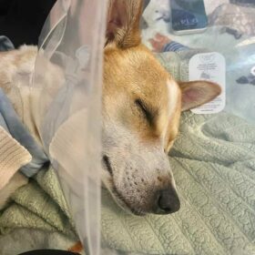 615817736_122212123682310500_808851762412200675_n