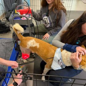 615840169_122212123640310500_1863118896408288084_n