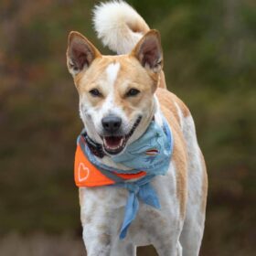 617769181_122212123556310500_2457932759265262119_n