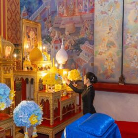 622105009_907778568282533_9017185166175070662_n