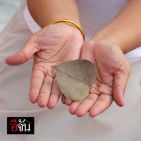 636981016_936393632433402_7960899321778064582_n