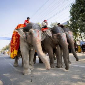 641540823_1336180585202490_2684527053606308715_n