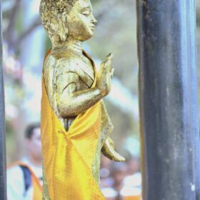 645425417_122217128798310500_3114294356173189660_n