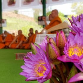 678281329_122192962142437548_4383149982144197712_n